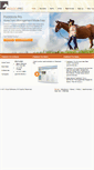Mobile Screenshot of paddockpro.com
